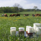 Mercredi découverte : Ferme de la Charme